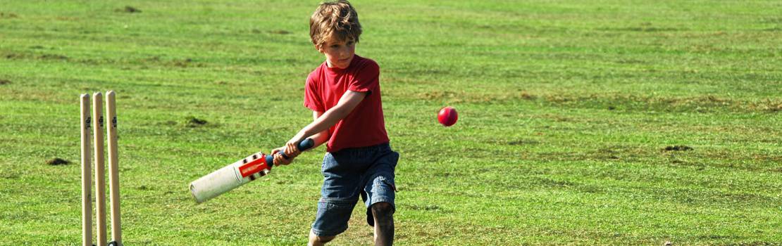 1. Involve the whole family with a game of Cricket