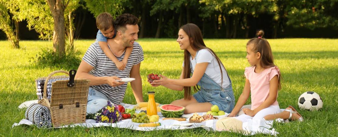 Picnic Product Collection: Help Your Customers Get Picnic-Ready
