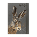 Cedar & Sage A5 3 Pack Notebooks from Harrisons Direct