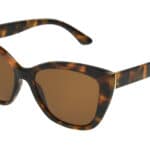 Wholesale Foster Grant Sunglasses – Polarized – (FGLP 20 02) from Harrisons Direct